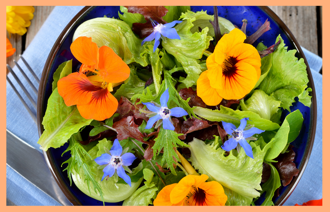 9 Edible Flowers That Actually Taste Good
